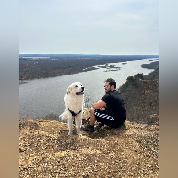 Welcome to our Posh!! - Picture 10 of 17